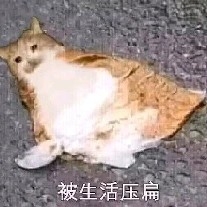 向生活哈气