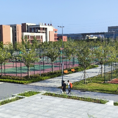 炸鸡可乐瞬间爆炸i9