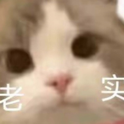 咕咕乖乖