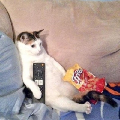 流心失败的奶黄包