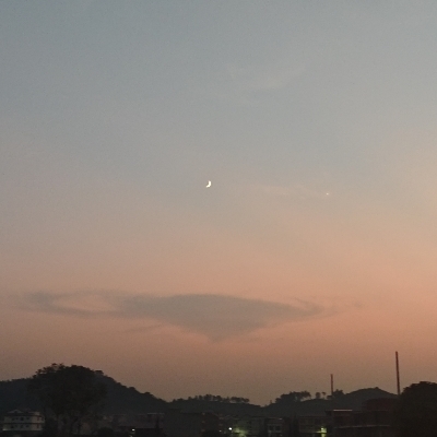 寻玲