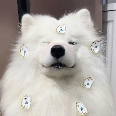 下次我们看海