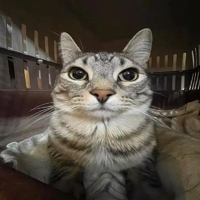 沙鼎鱼