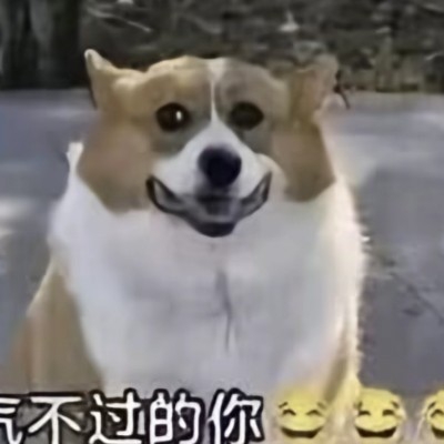 So福瑞