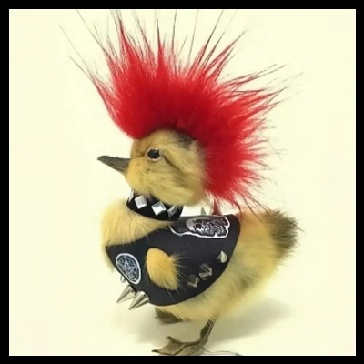 灵魂会发光wyi627