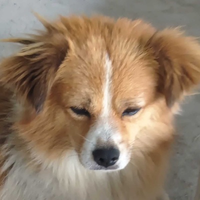 宇宙第一好看的甲方tow17