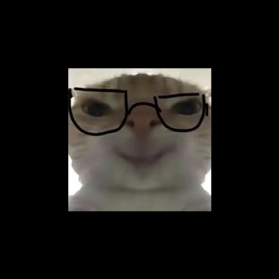 小岚天天开心