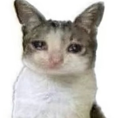 N1N3