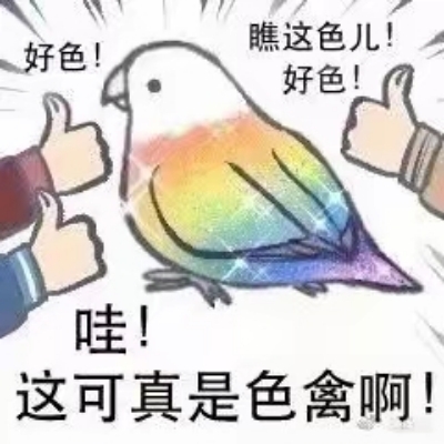 喵喵喵