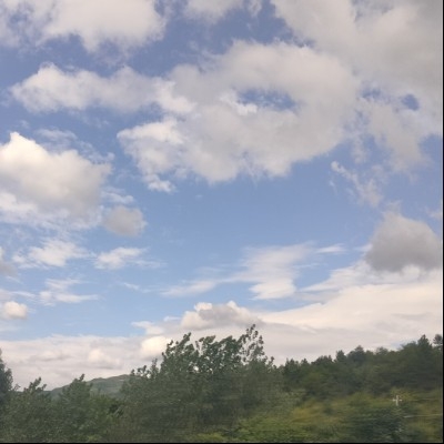 最爱喝牛奶