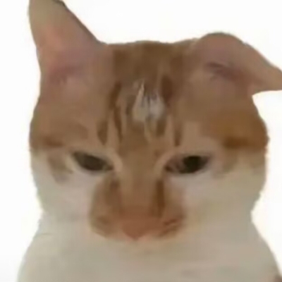 怼怼