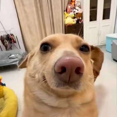 是你的咸鱼r9
