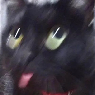 一只呆鱼太好吃了吧！cq050