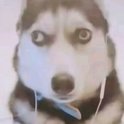 每天都想睡