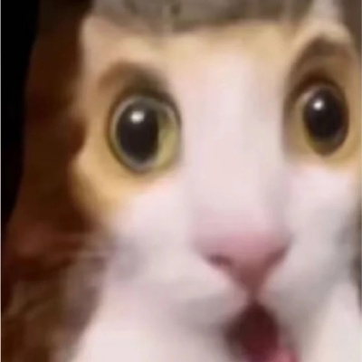 黄晓明被美少女纠缠et393