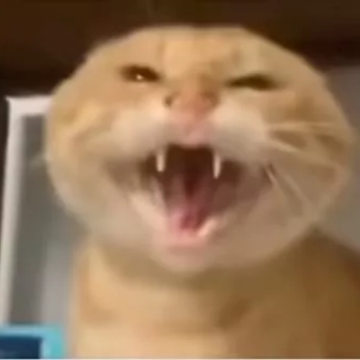 kk