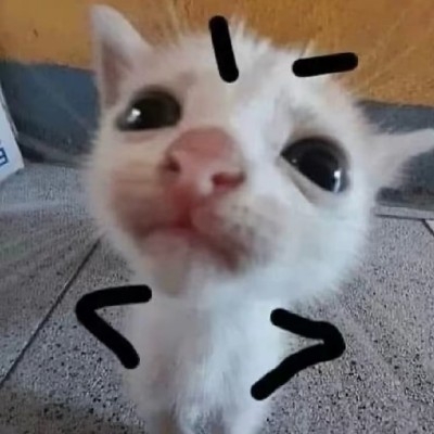 啊哈啊啊啊