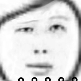 王少