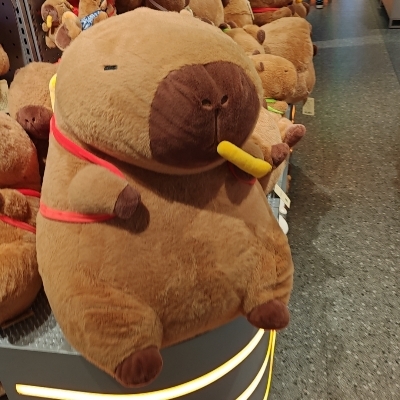 铁皮大王