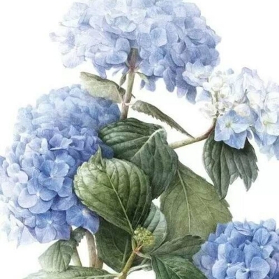 颜非