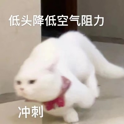 狐假虎威皮克斯