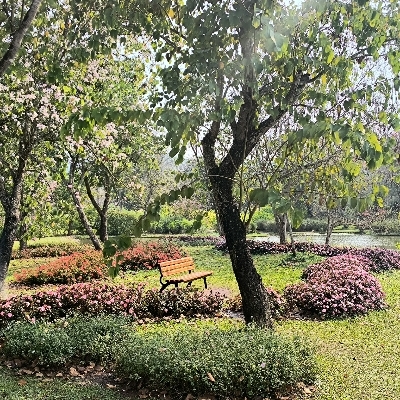 好运
