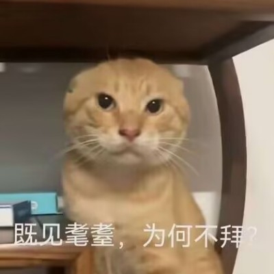 爱睡觉的天才ra1