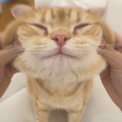 二牛窝系广陵汪啊