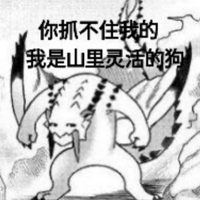 射命丸文