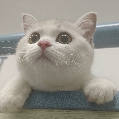 食指咪