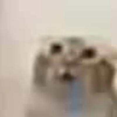 枕剑行