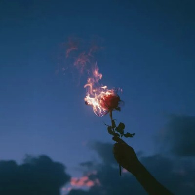 会弹钢琴的小天才