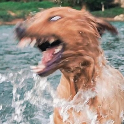 良好市民爱说废话eqk53