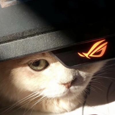 梦幻联动的福尔摩斯f5