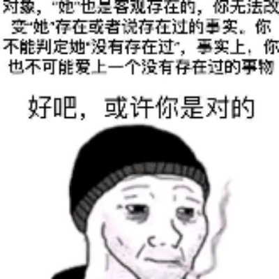 气氛组不吃轻食xwb936