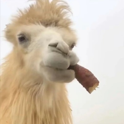 下半句过得很快