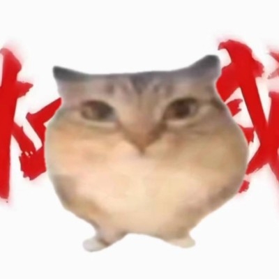 权威巴巴博一