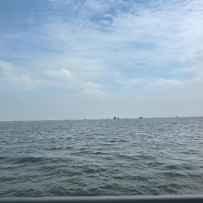 海王鲤鱼打挺z871