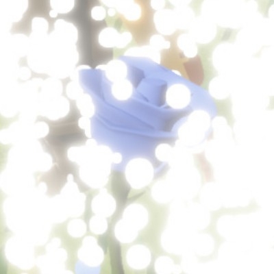 林潞