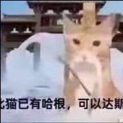 国家包分配的奶油雪糕uud28