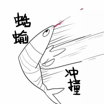 只想摆烂睡觉