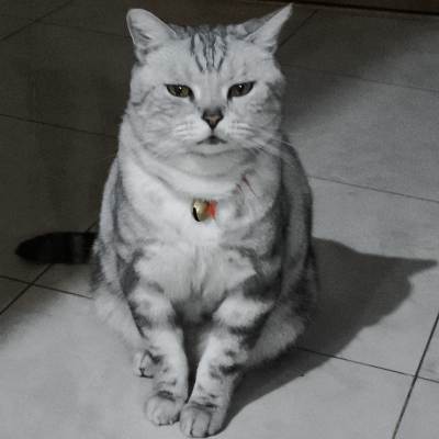 与或非