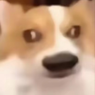 随便一个字