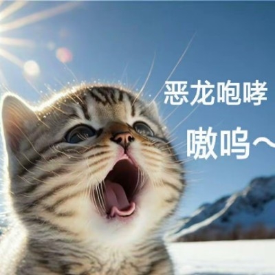 龙Z
