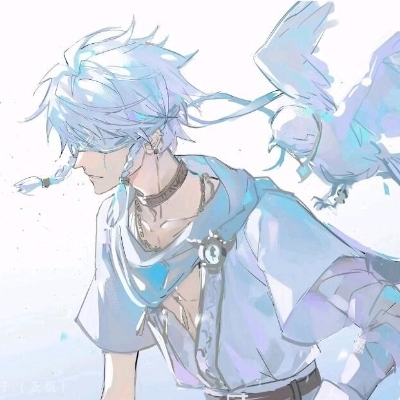 白武士疯狂追星n3