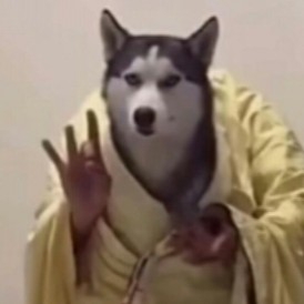 未士尘