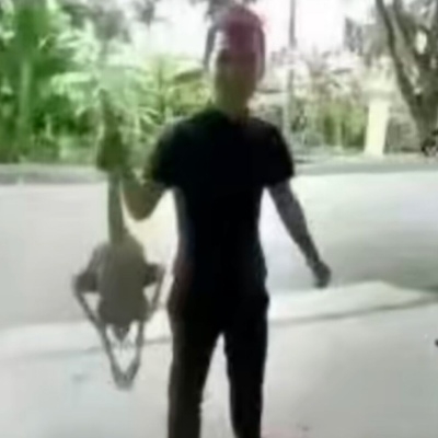 我嘞个骚刚