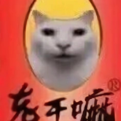 内行的新手wr92