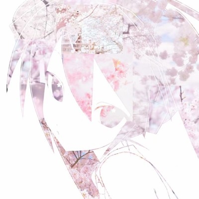 珂