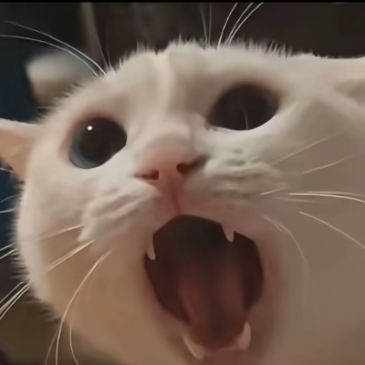喵